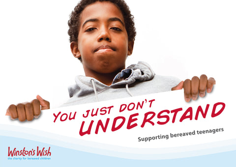 You Just Don't Understand